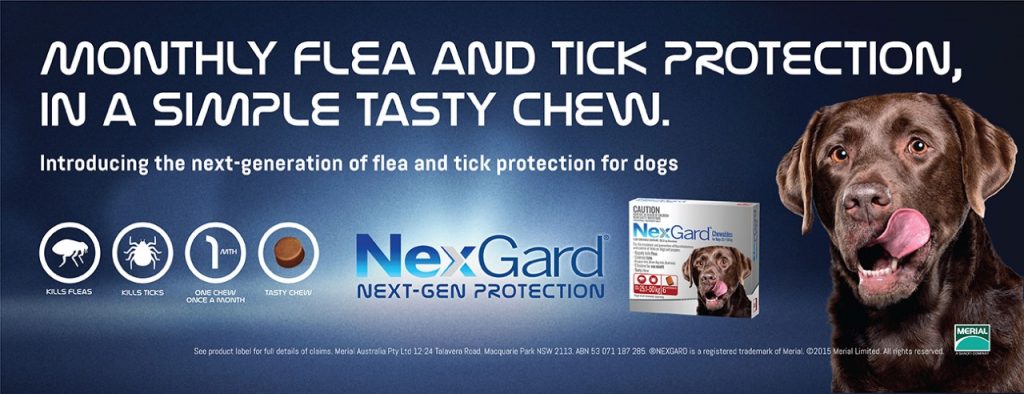 Nexgard – The Leading Tick and Flea Prevention
